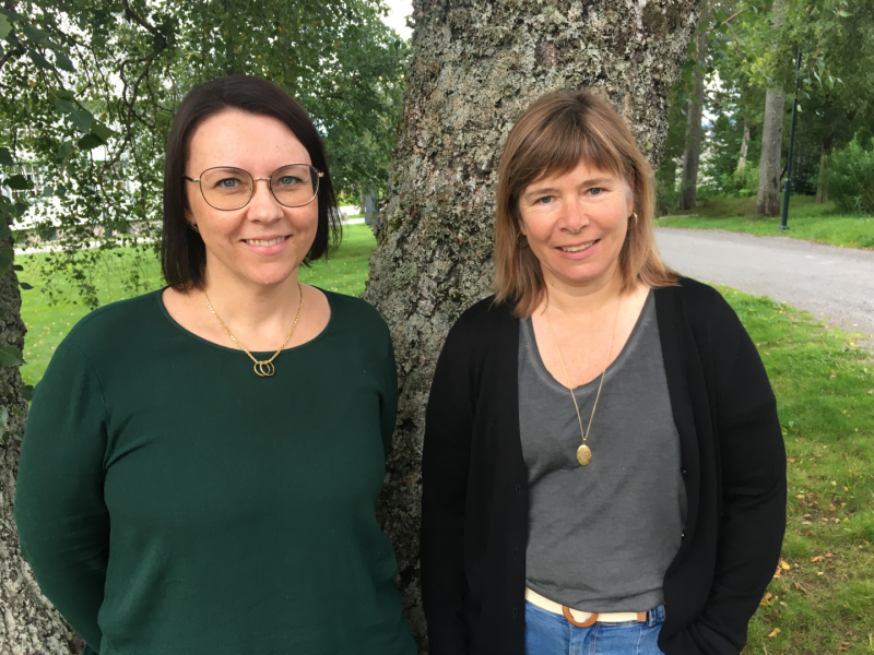 Bjørnsonfestivalen blir fantastisk!